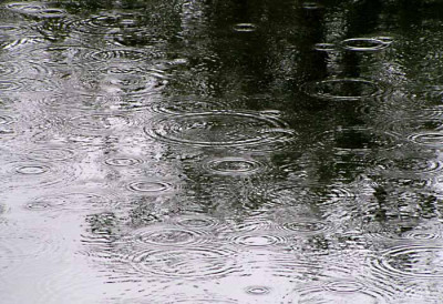 a_regen_nasser_teich.jpg