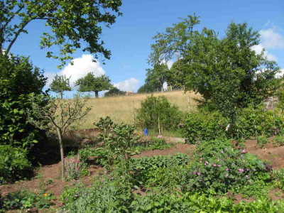 Ausblick_aus_dem_Garten.jpg