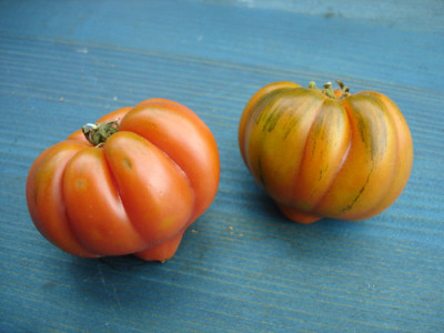 salztomaten.jpg