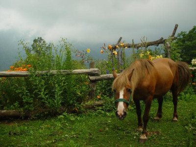 K640_DSC02677.JPG