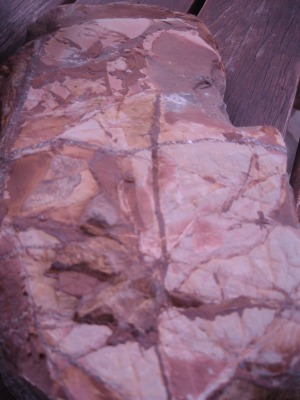 fund_2011_4.jpg