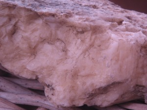 fund2011_5.jpg