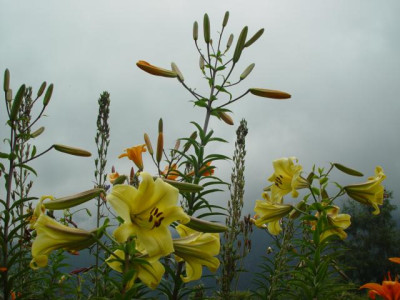 K640_DSC02681.JPG