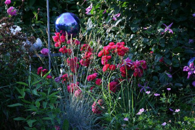 Gartenimpressionen3211.jpg