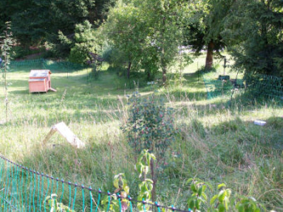 Huhnergarten.jpg
