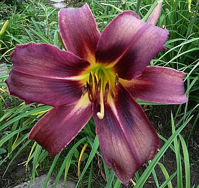 GT10-GA1b__P10106961.jpg