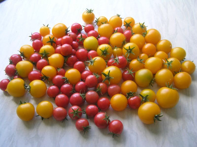 1ernte080711.jpg