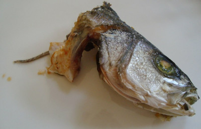 loup-de-mer_20110708_the-end.jpg