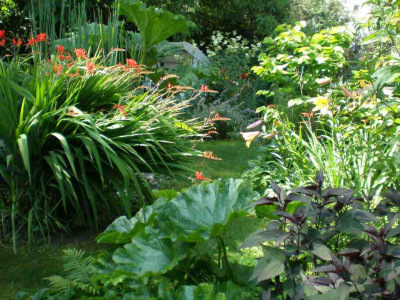GP_Crocosmia_Lucifer_2011e.jpg