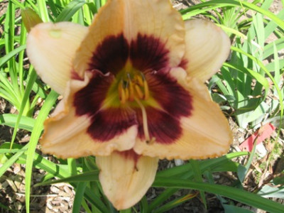 GARTEN_441.jpg