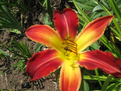 GARTEN_440.jpg
