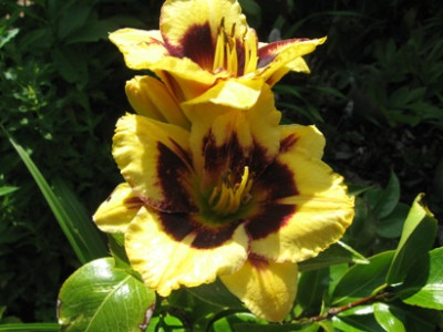 GARTEN_436.jpg