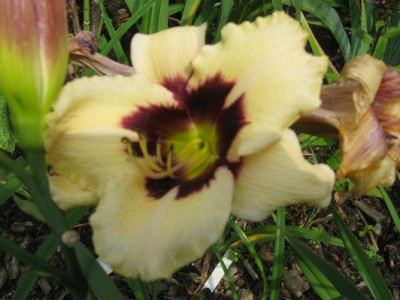 GARTEN_425.jpg