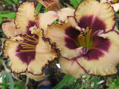 GARTEN_427.jpg