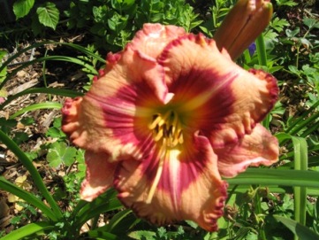 GARTEN_434.jpg