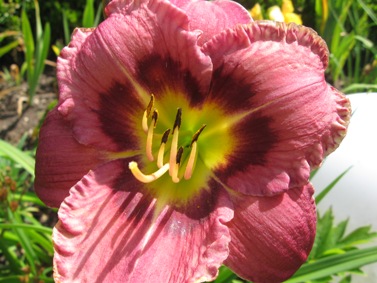 GARTEN_438.jpg