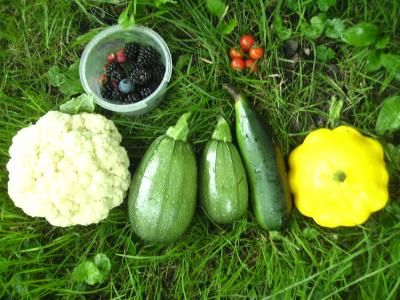 GemuseundBeeren.jpg