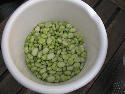 IMG_3395_Ernte_am_10.7.2011_gepult.jpg