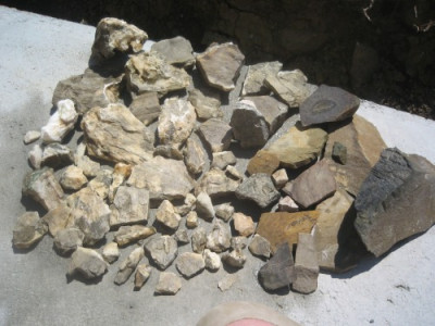 fund_2011steinesammlung.jpg