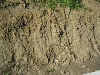fund_2011hang.jpg