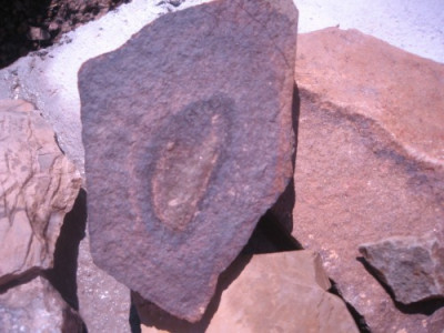 fund_2011_struktur.jpg
