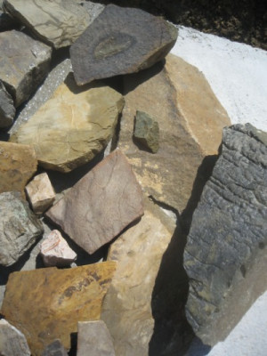 fund_2011_bunteschiefer.jpg