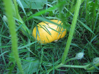 K640_IMG_2327.JPG
