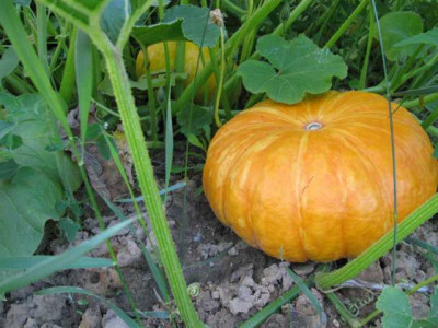 K640_IMG_2328.JPG