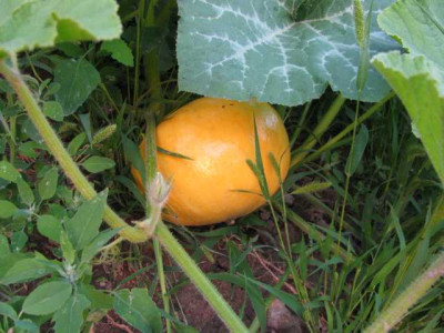 K640_IMG_2329.JPG