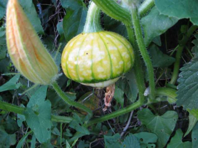 K640_IMG_2332.JPG