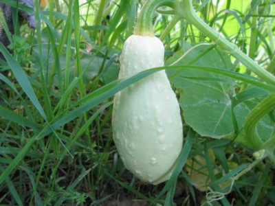 K640_IMG_2333.JPG