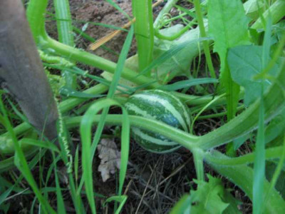 K640_IMG_2334.JPG