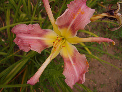 2c04_S5006048_2c4kl.jpg
