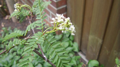 STH71580.JPG
