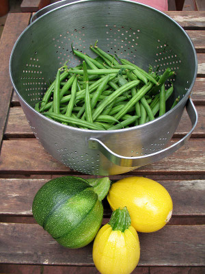 IMG_3393_Ernte_am_13.7.2011.jpg