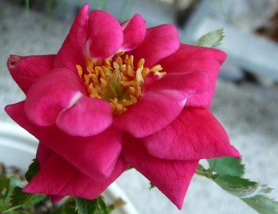 AzubisXTerra16_09.JPG