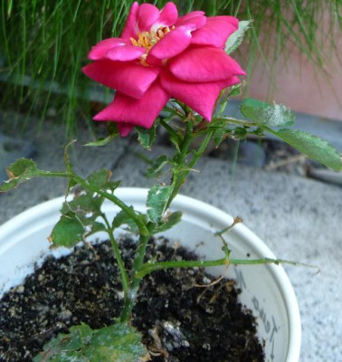 AzubisXTerra16_08.JPG