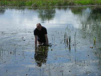 Im_Teich.JPG