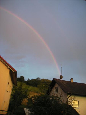 Regenbogenhinten.jpg