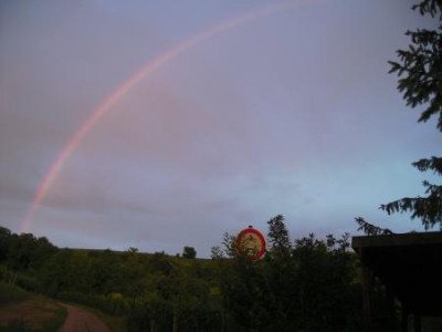 Regenbogenvorn.jpg