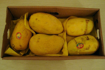 flugmangos_20110713_zg2.jpg