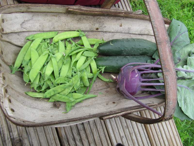 Ernte_110713.jpg