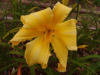 3c12_S5005822_3c12_kl.jpg