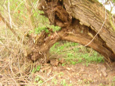 Doppelgrotte.JPG