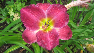 GARTEN_453.jpg