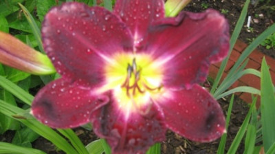GARTEN_555.jpg