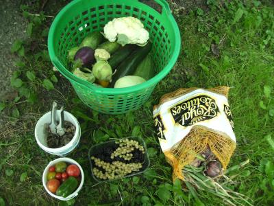 Gartenprodukte.jpg
