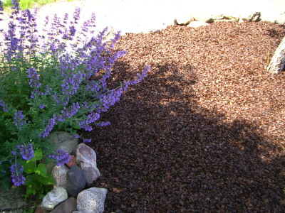 IMGP0045.jpg
