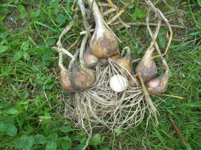 BILD4973.JPG