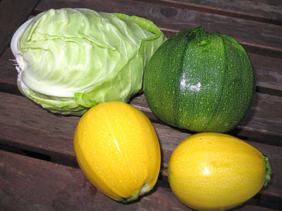 IMG_3258_Ernte_am_16.7.2011_Mein_erster_Spitzkohl.jpg